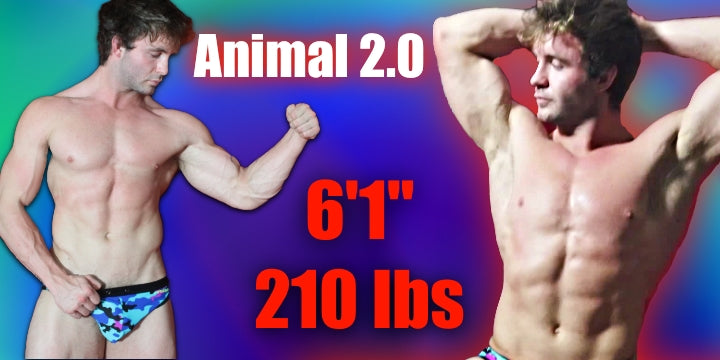 Animal 2.0