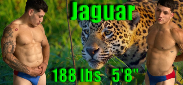 Jaguar