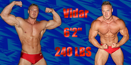 Vidar