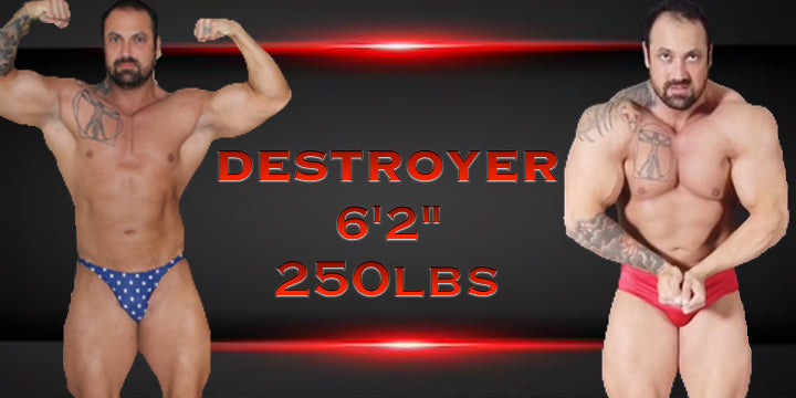 Destroyer