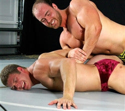 Impact viggo armbar armlock arm chickenwing hammerlock 