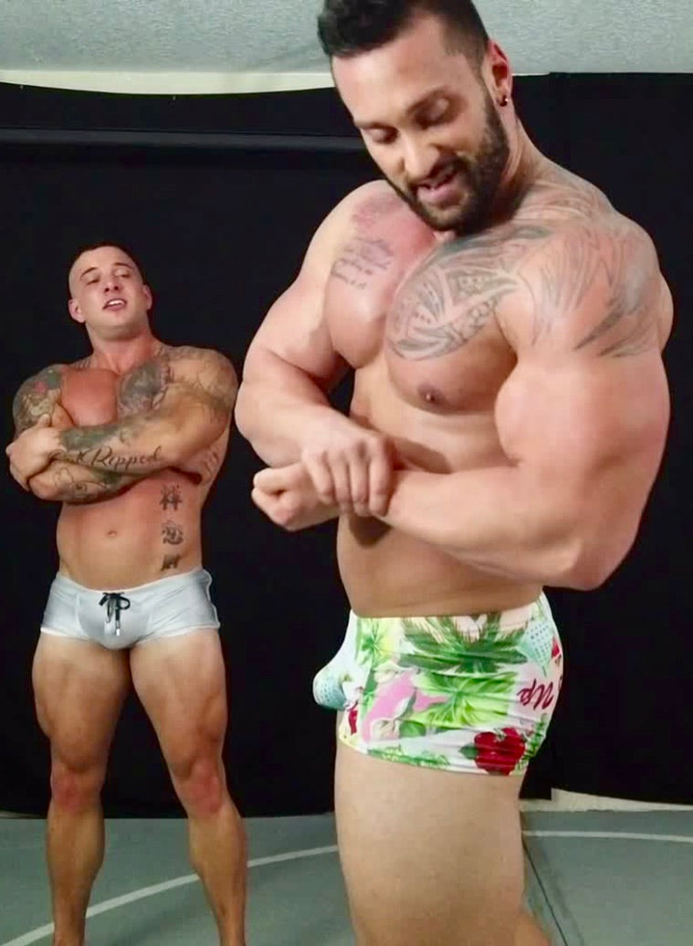 bicep flex admiration stallion