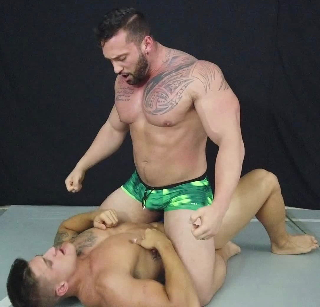 schoolboy pin stallion 