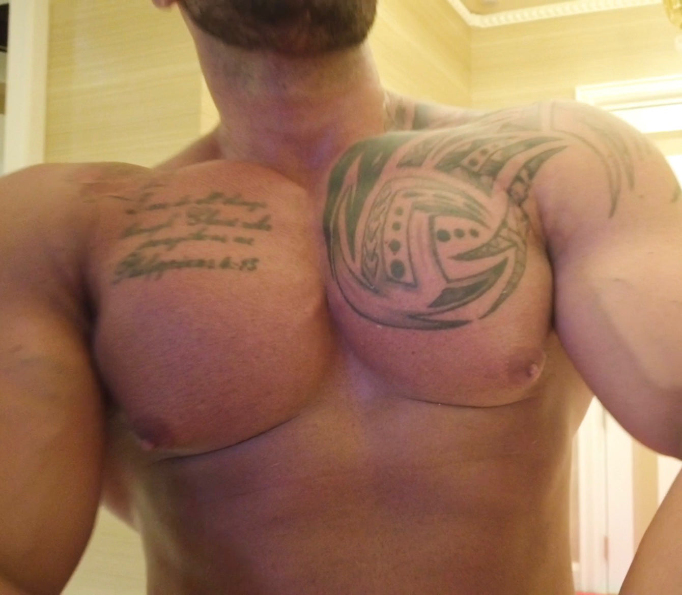 Stallion flexing his chest