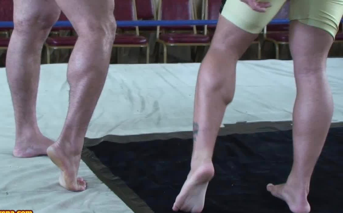 calf flex thunders arena muscle comparison