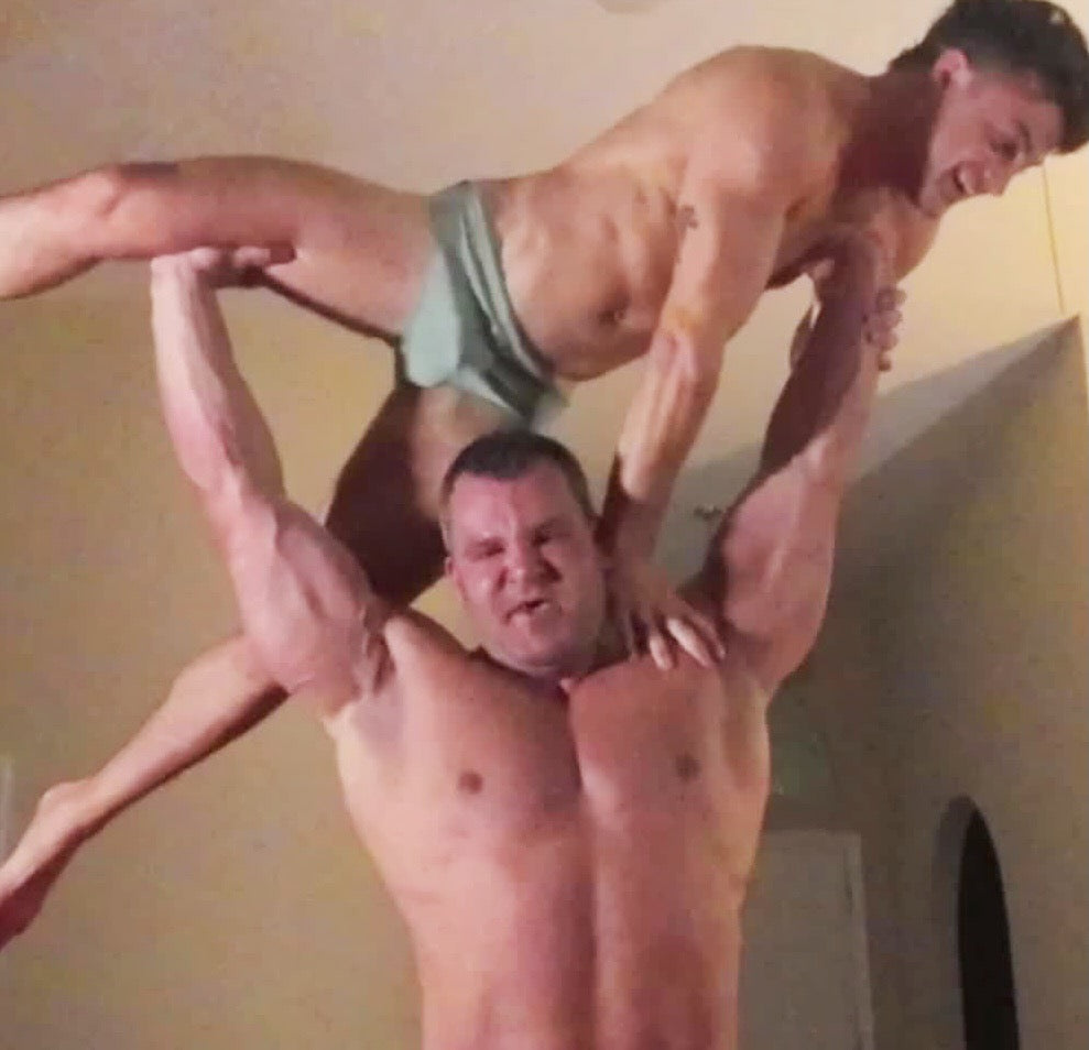 Hawk gorilla presses Gohan