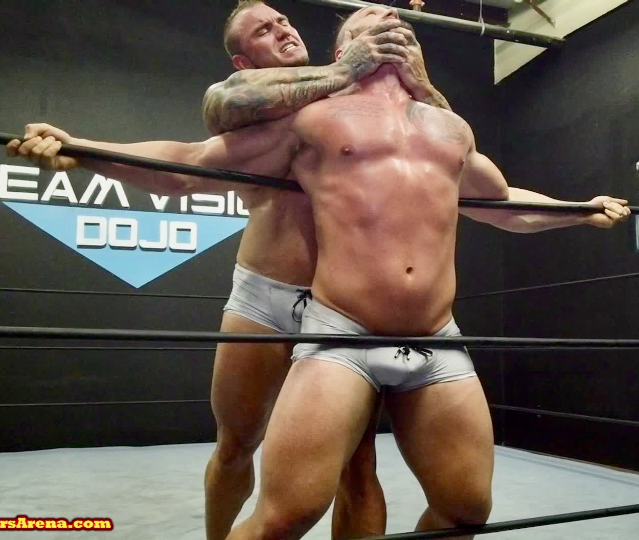 rope torture stallion bull wrestling