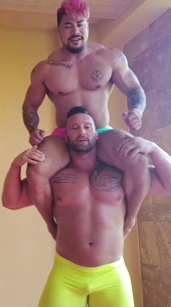 Kuma sitting on Stallions shoulders