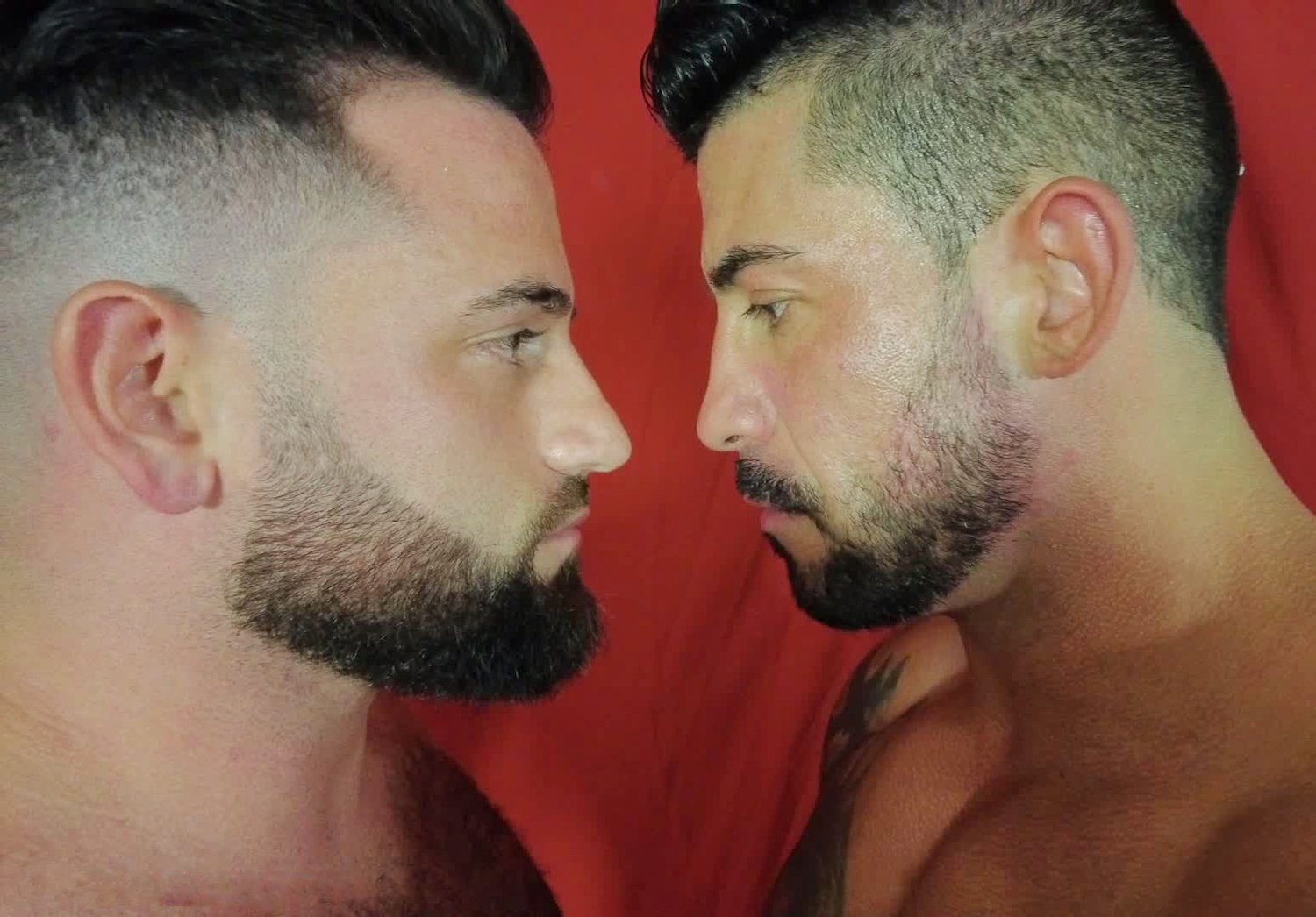 Johnny Greco and Iron starring each other down