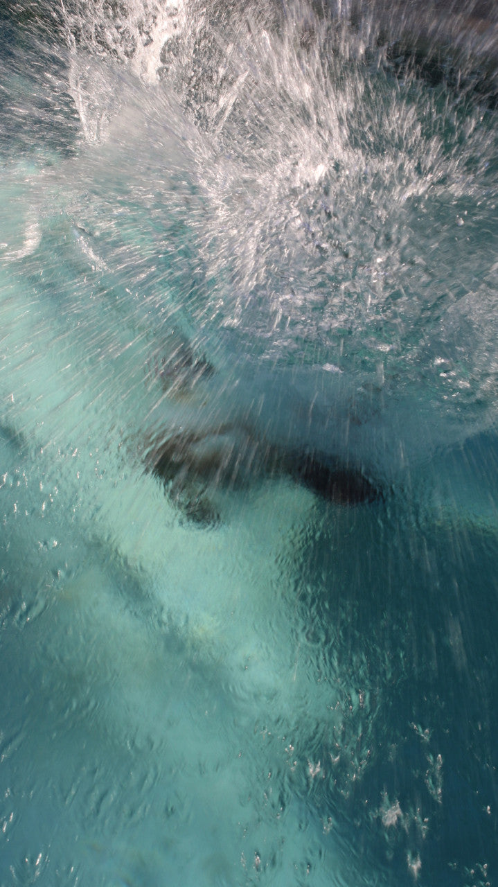 Zman vs Viking - Rough & Ready 97